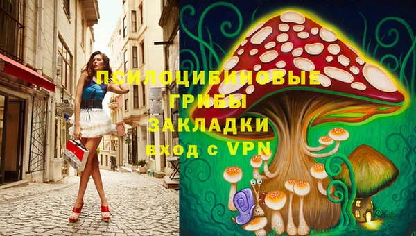 прущий лед Аркадак