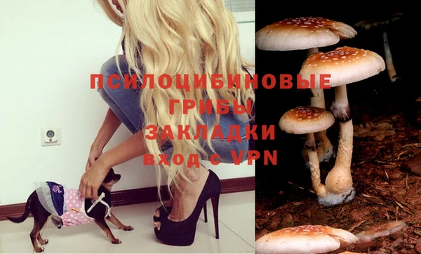 прущий лед Аркадак